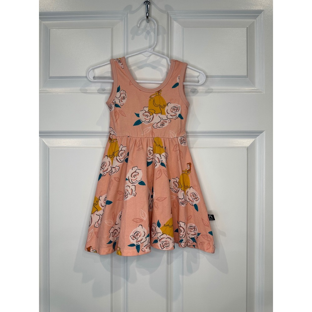 Rags Kids Size 2T Pink Floral Roses‎ Sleeveless A-Line Dress Disney Princes